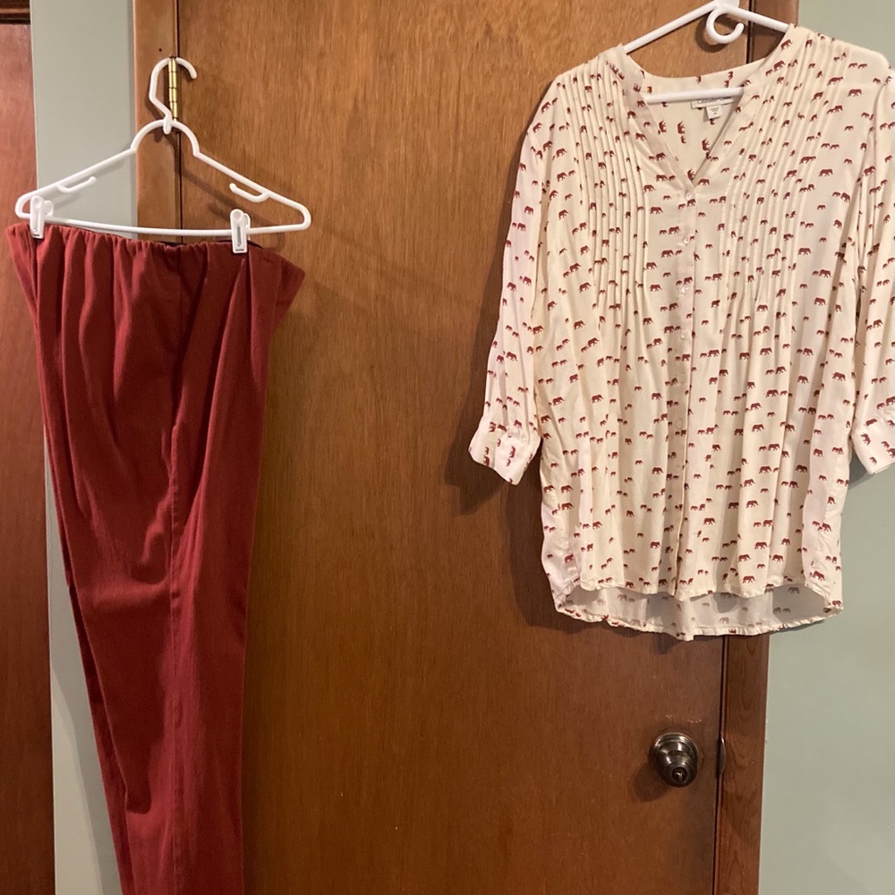 Coldwater Creek pleated tunic with pants.